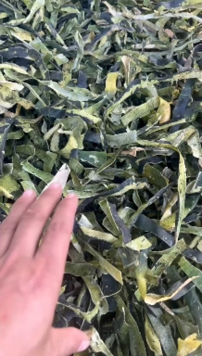 新品冬瓜皮色青卷多手工机拨晒干烘干自己加工一手货源！
