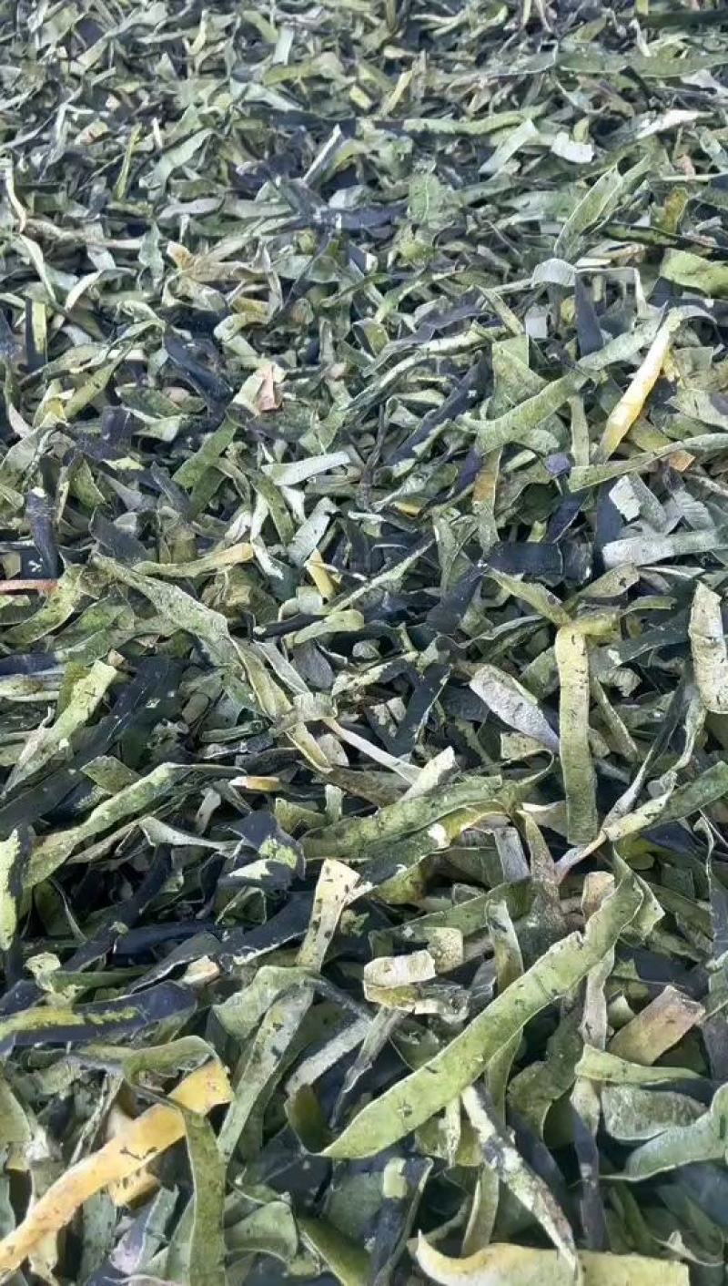 新品冬瓜皮色青卷多手工机拨晒干烘干自己加工一手货源！