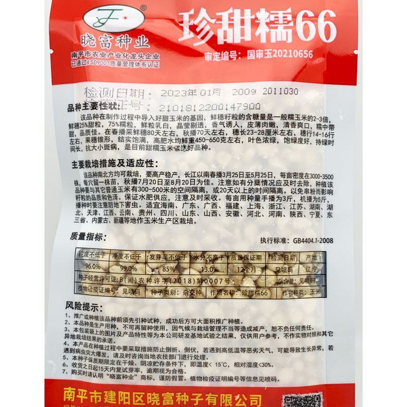 珍甜糯66珍早2019白甜糯玉米种子高产大棒甜加糯玉米种