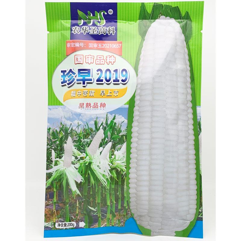 珍甜糯66珍早2019白甜糯玉米种子高产大棒甜加糯玉米种