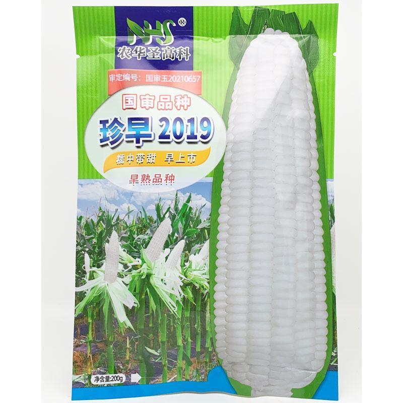 珍甜糯66珍早2019白甜糯玉米种子高产大棒甜加糯玉米种