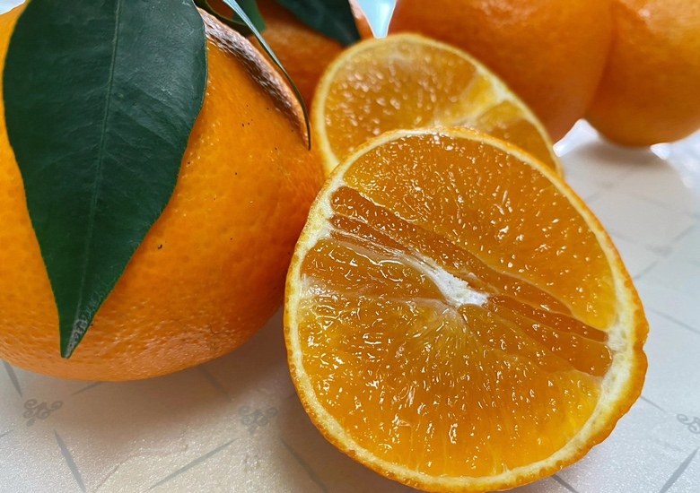 赣南脐橙与爱媛对比图