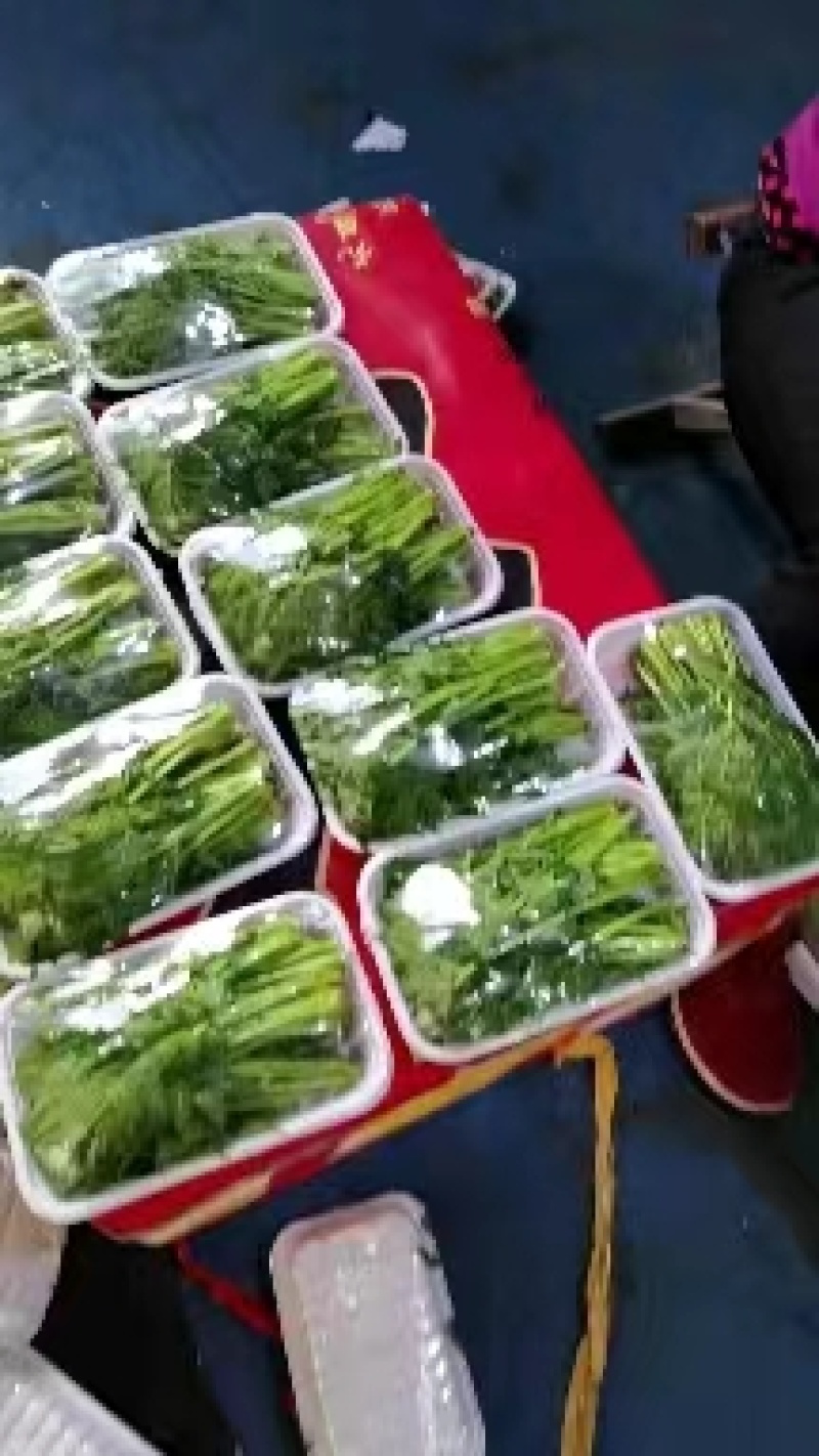 新鲜香椿芽，产地直发，一手货源。。。。。。。。