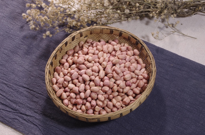 优质原料实物对比:左罐花生为山东莒南产新季小粒种(百粒重172g),红衣厚度0.12mm,表面蜡质层完整;右罐绿豆为河北安国明绿一号(千粒重58.3g),种皮光滑反光,脐部白色条纹清晰笔直,两罐均标注产地与采收日期(2024年8月) 原料对比图:左侧透明玻璃罐盛放带红衣山东莒南小粒花生(颗粒饱满、红衣紧贴、无裂纹),右侧玻璃罐盛放河北安国明绿一号绿豆(圆润碧绿、光泽度高、无虫蛀斑点),背景为农田实景虚化