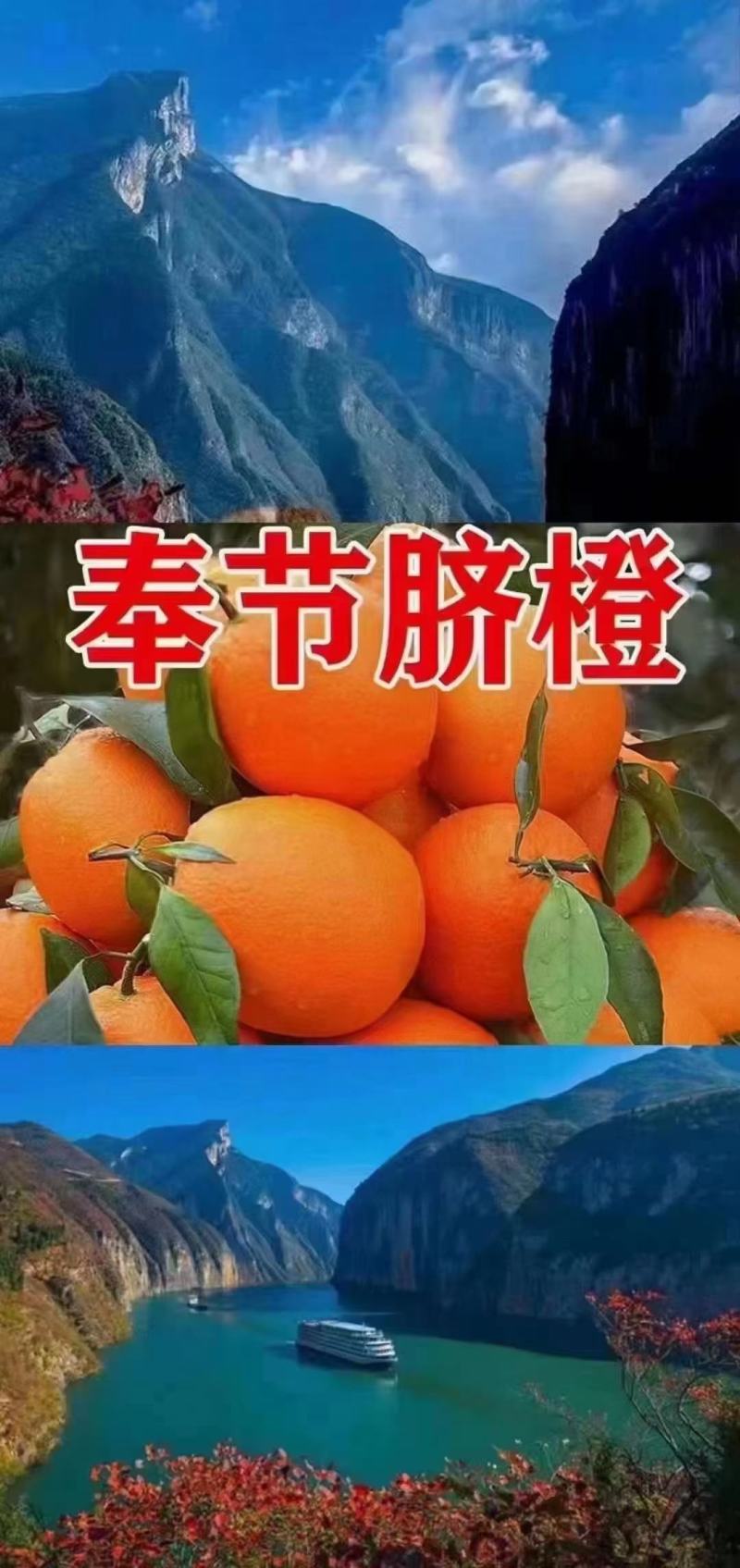 奉节脐橙产地直发二级果大量有货，质量好，价格便宜