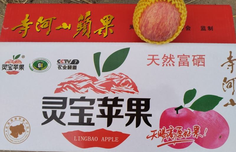 红富士苹果