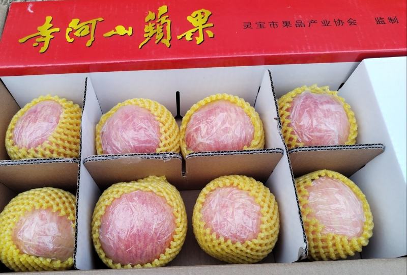 红富士苹果