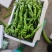 螺丝椒大量上市物美价廉