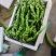 螺丝椒大量上市物美价廉