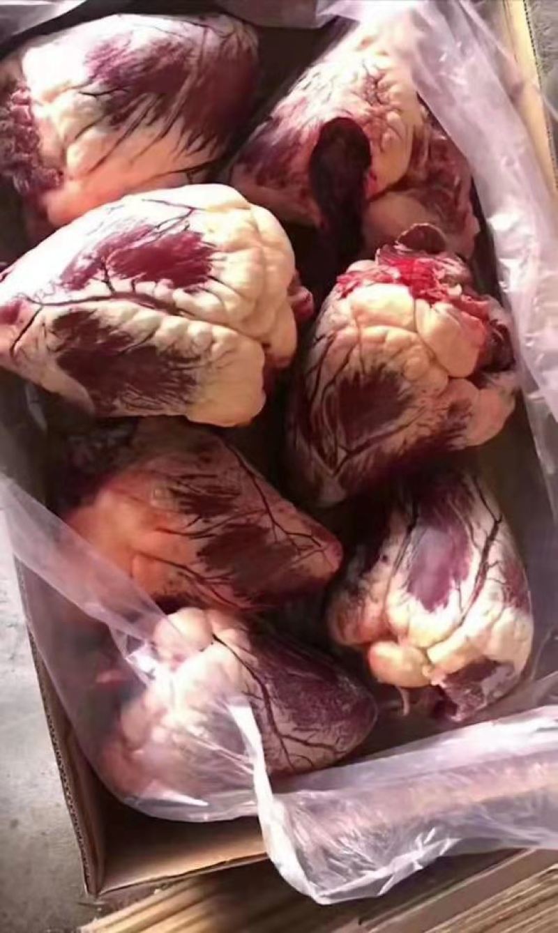 纯干牛心质量保证，价格美丽