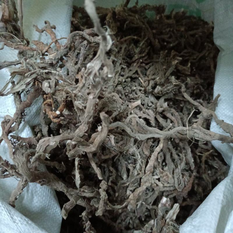 石菖蒲一手货源服务一流品质优良