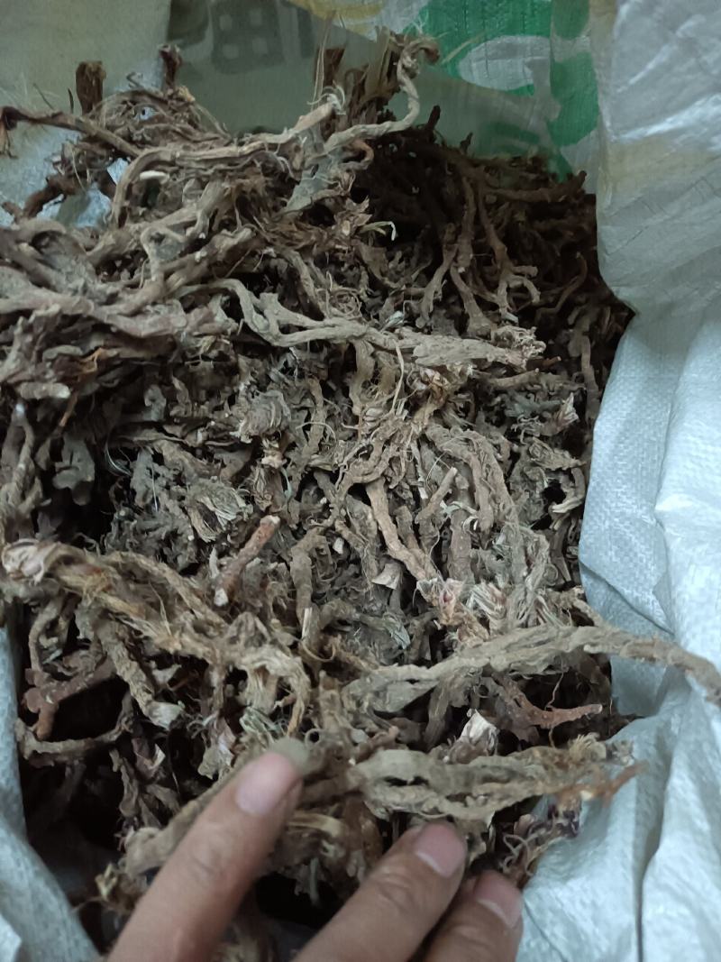 石菖蒲一手货源服务一流品质优良