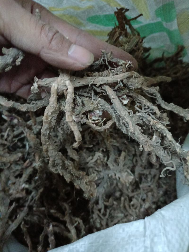 石菖蒲一手货源服务一流品质优良