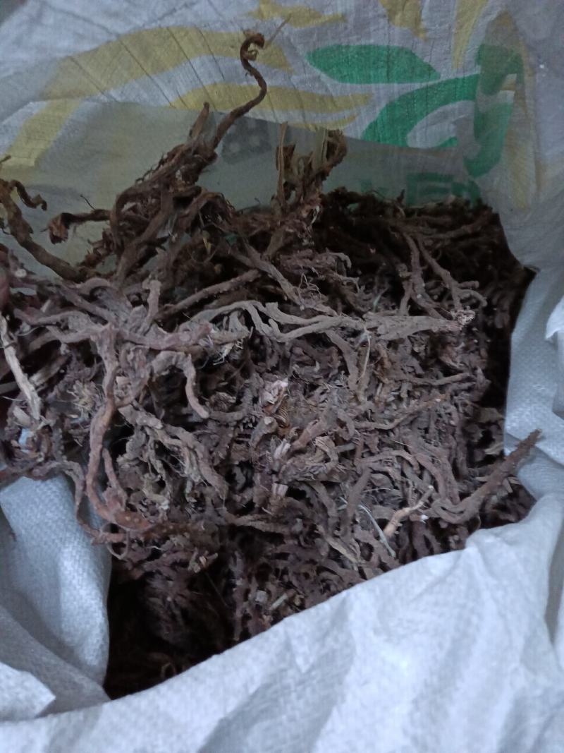 石菖蒲一手货源服务一流品质优良