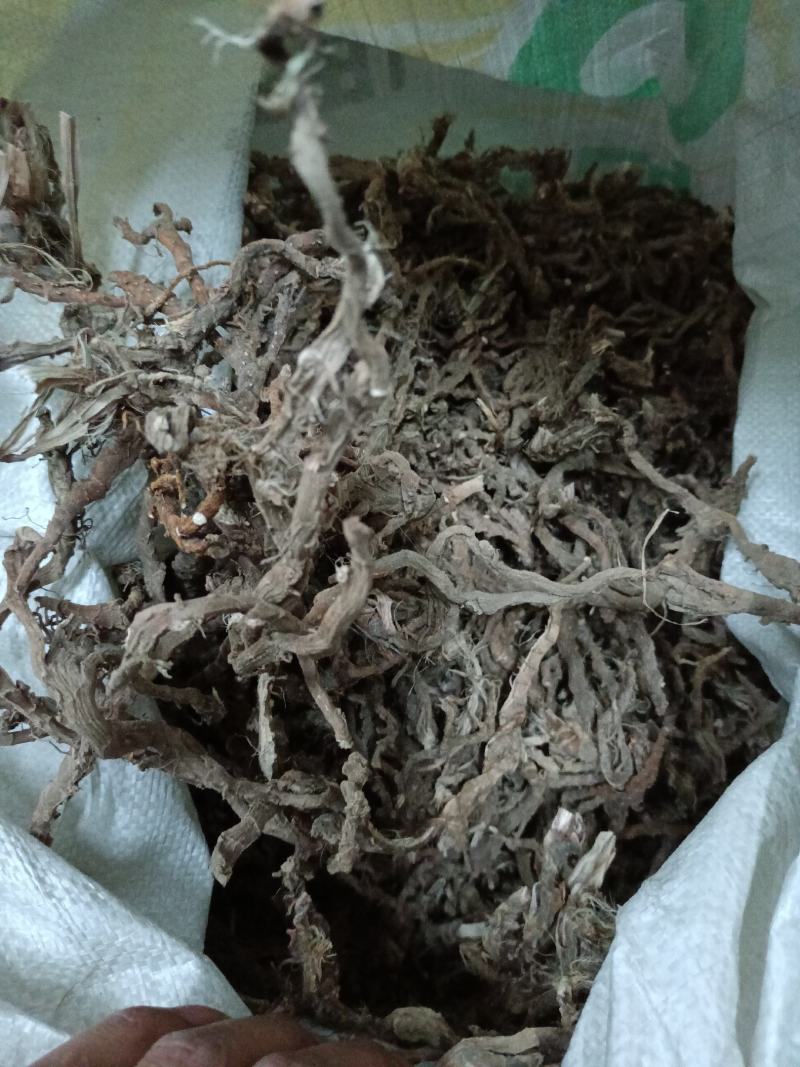 石菖蒲一手货源服务一流品质优良