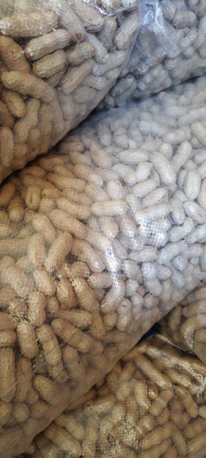 内蒙四粒红精品果整车走货质量保证
