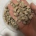 中药材牛膝怀牛膝野生无硫怀牛膝一公斤起批