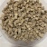 中药材牛膝怀牛膝野生无硫怀牛膝一公斤起批