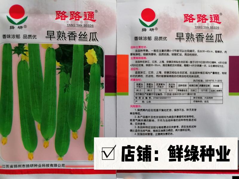 扬研早熟香丝瓜粗棒状风味浓郁品质优耐贮运