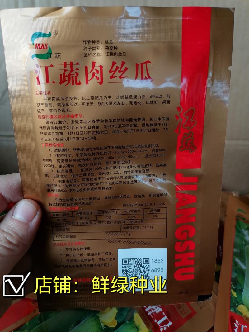 扬研早熟香丝瓜粗棒状风味浓郁品质优耐贮运