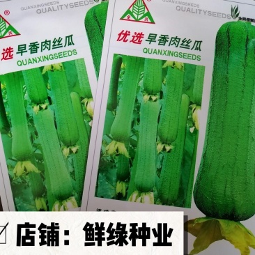 全兴优选早香肉丝瓜早熟耐热长圆棒形瓜肉软甜爽口