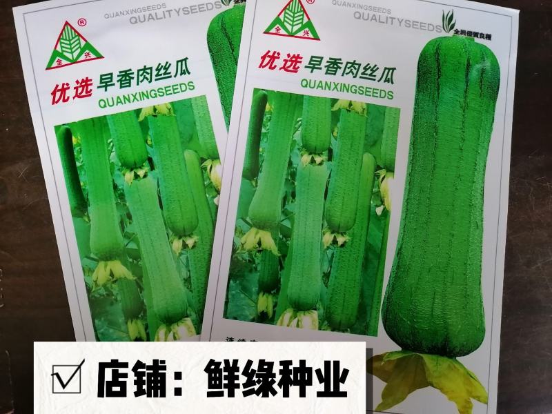 全兴优选早香肉丝瓜早熟耐热长圆棒形瓜肉软甜爽口