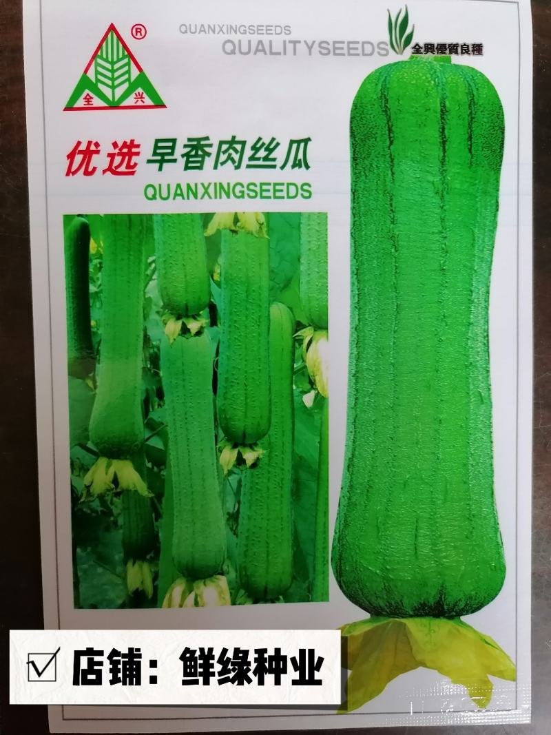 全兴优选早香肉丝瓜早熟耐热长圆棒形瓜肉软甜爽口
