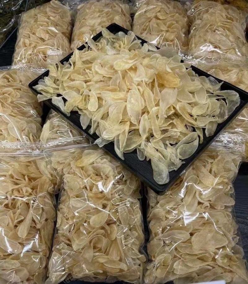 澳洲小白花胶鸡蛋胶佐罗胶肉厚好吃价格有优势一手货源
