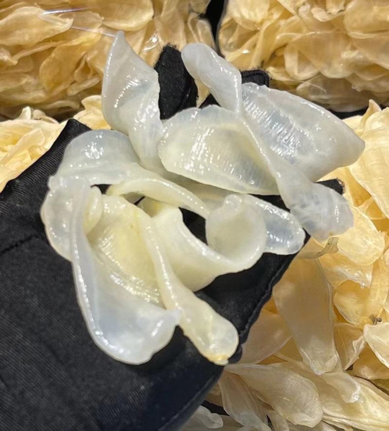 澳洲小白花胶鸡蛋胶佐罗胶肉厚好吃价格有优势一手货源