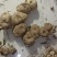 野生甜黄精黄精大量现货现货现发欢迎电话联系