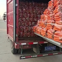 大量供应水洗三红胡罗卜