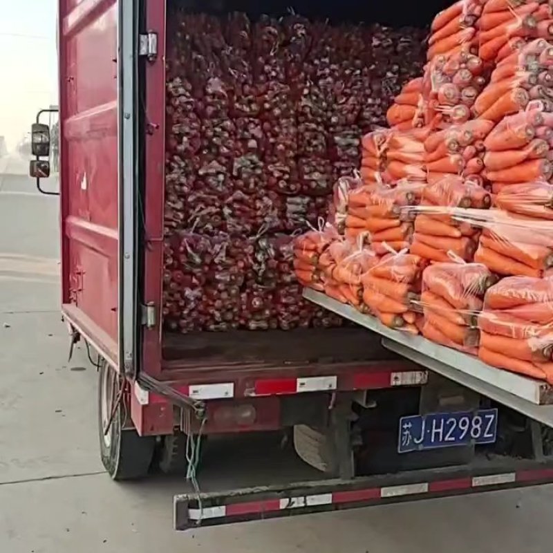 大量供应水洗三红胡罗卜