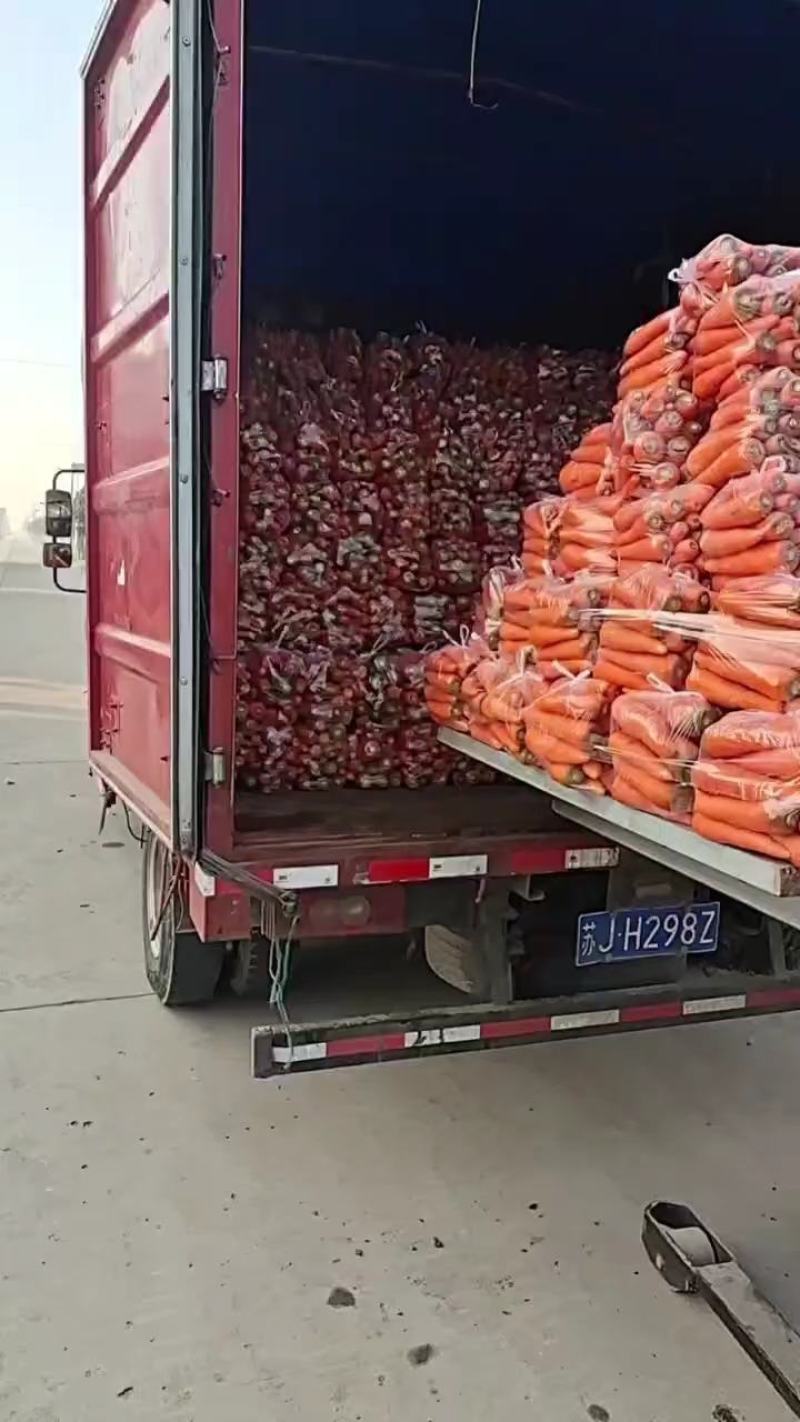 大量供应水洗三红胡罗卜