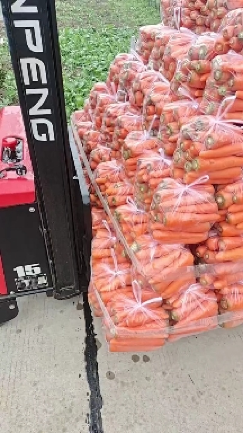 大量供应水洗三红胡罗卜