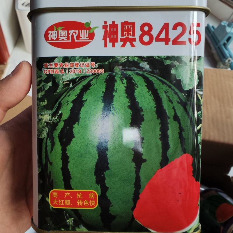 神奥8425西瓜种子，900粒