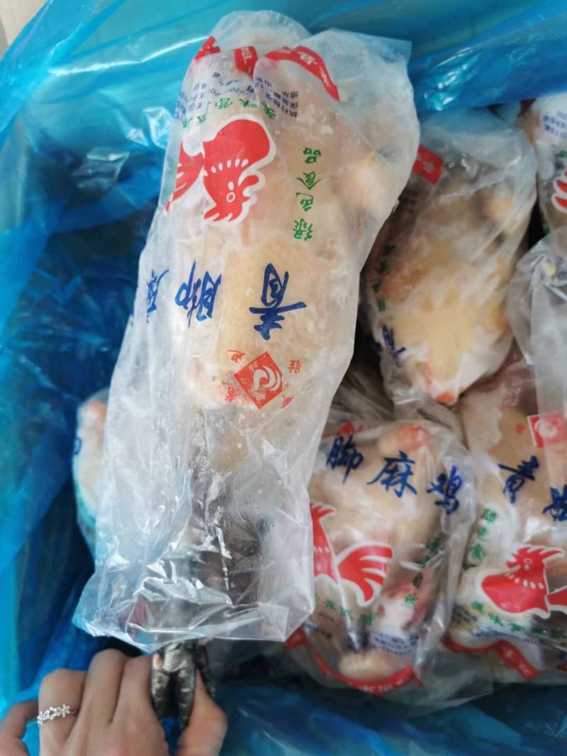 青脚麻鸡