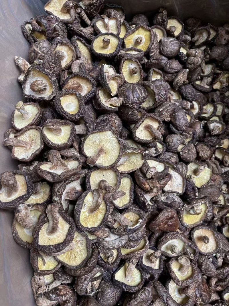 冬菇厚肉香菇干货香味好大量批发