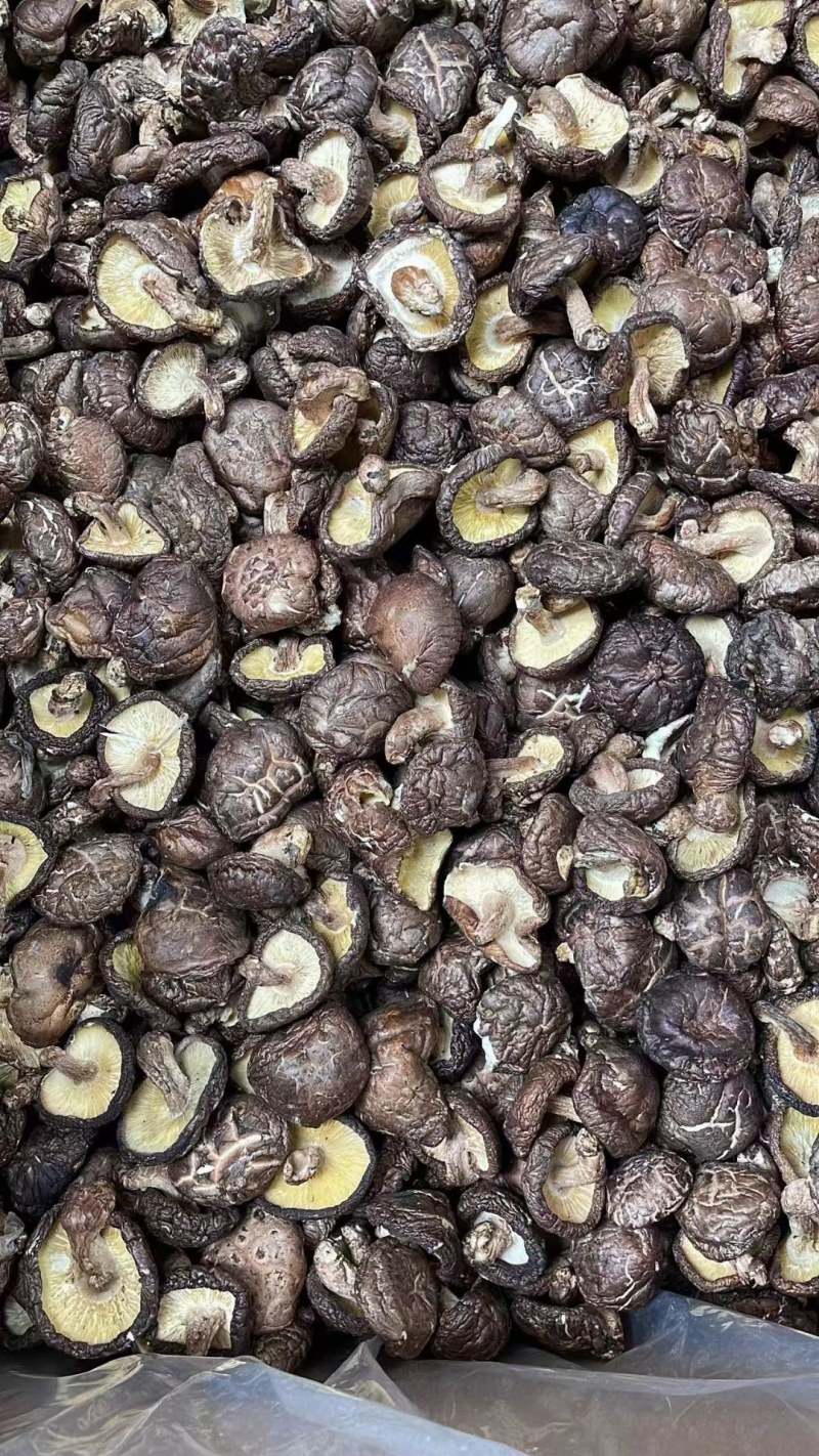 冬菇厚肉香菇干货香味好大量批发