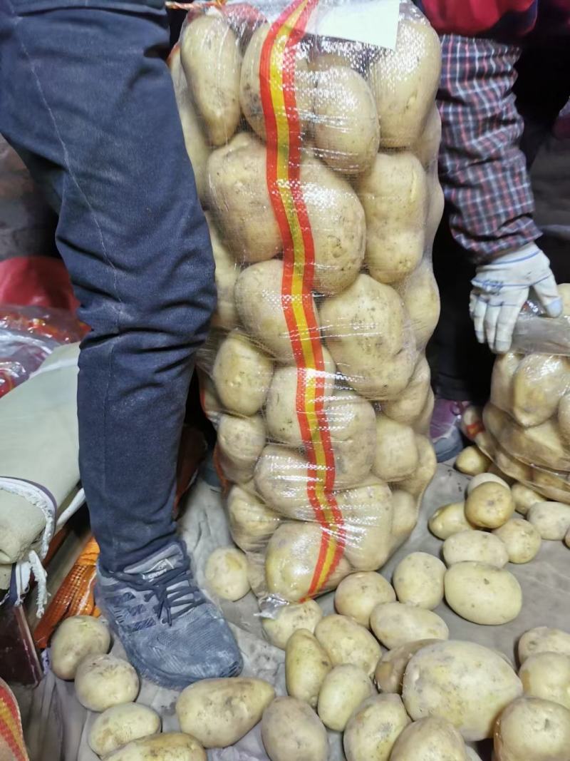 【土豆】内蒙精品V7土豆量大从优欢迎选购咨询