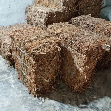 桑白皮通货产地直销