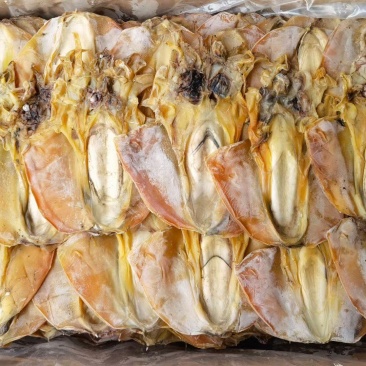 淡干A1墨鱼，产地直销，物美价廉