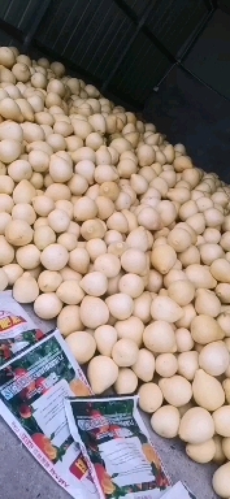来哦，，不多了哦，，需要的搞快点哦，，，，，