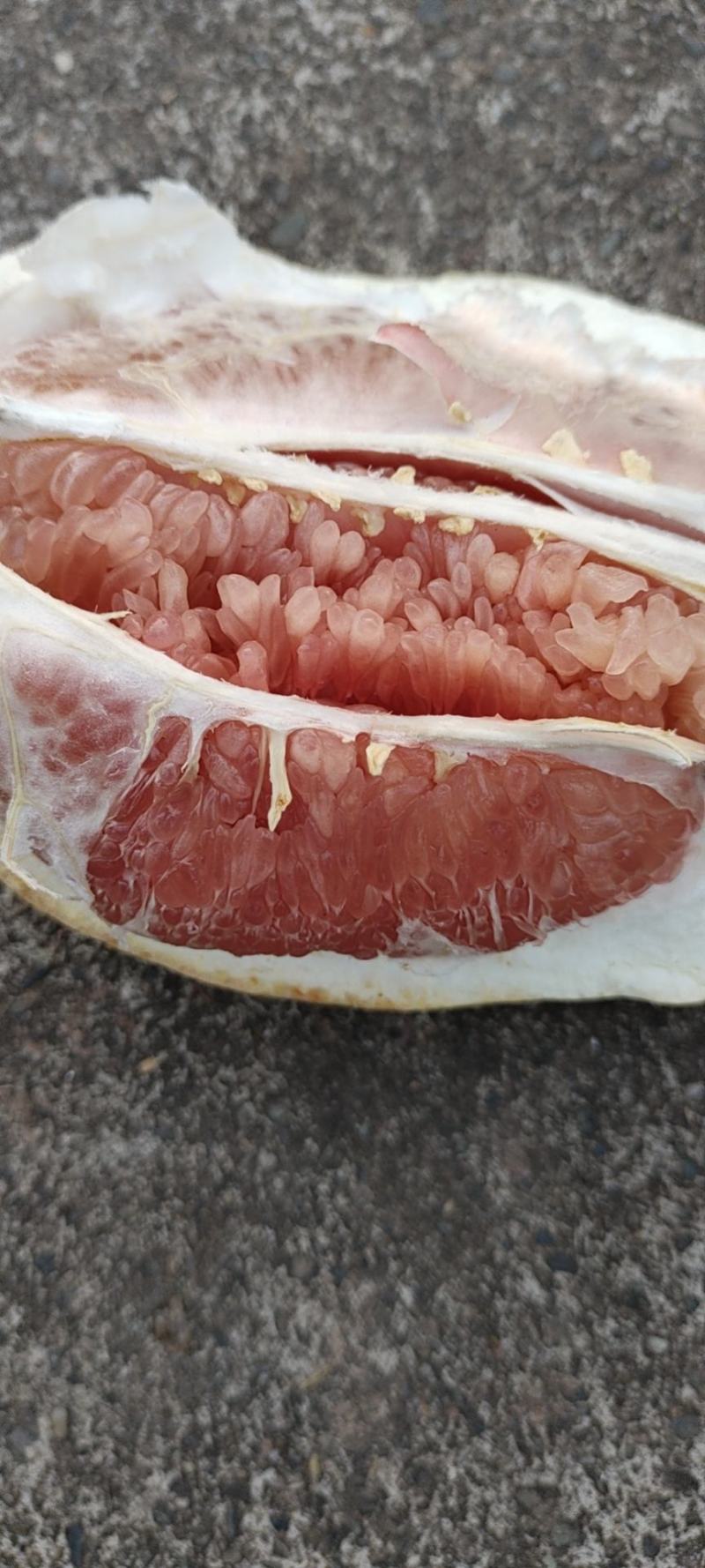 来哦，，不多了哦，，需要的搞快点哦，，，，，