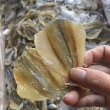 黄线鱼，多味鱼，可烧烤可熟食，产地直销，量大价优