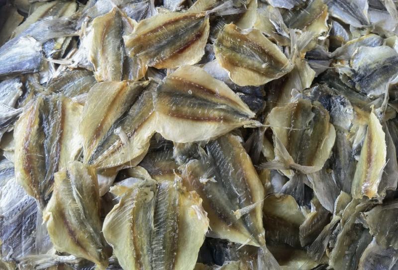 黄线鱼，多味鱼，可烧烤可熟食，产地直销，量大价优
