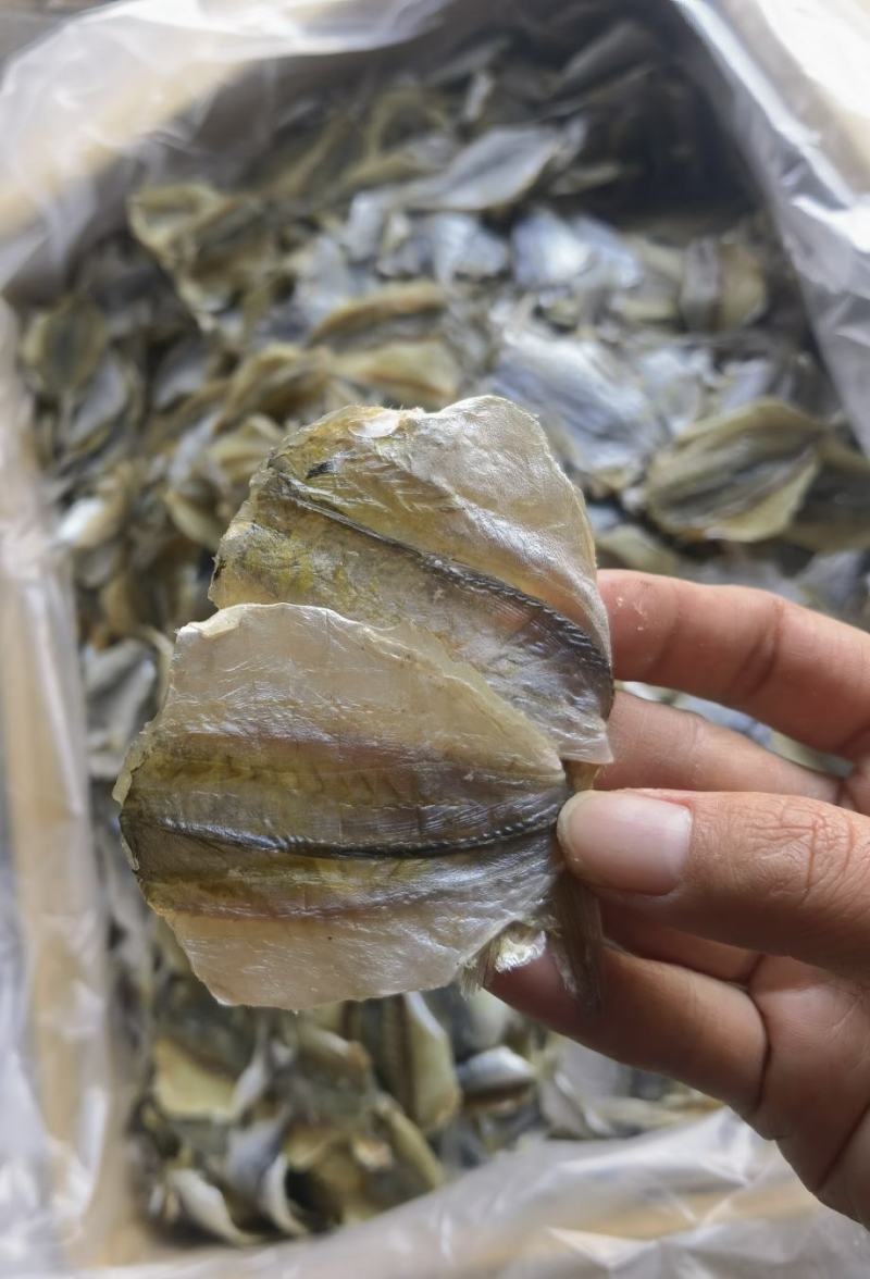 黄线鱼，多味鱼，可烧烤可熟食，产地直销，量大价优