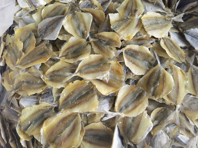 黄线鱼，多味鱼，可烧烤可熟食，产地直销，量大价优