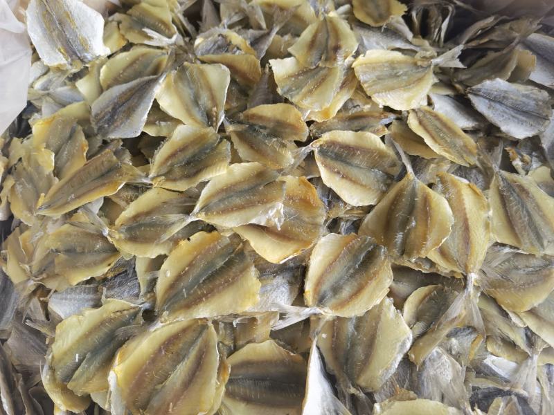 黄线鱼，多味鱼，可烧烤可熟食，产地直销，量大价优