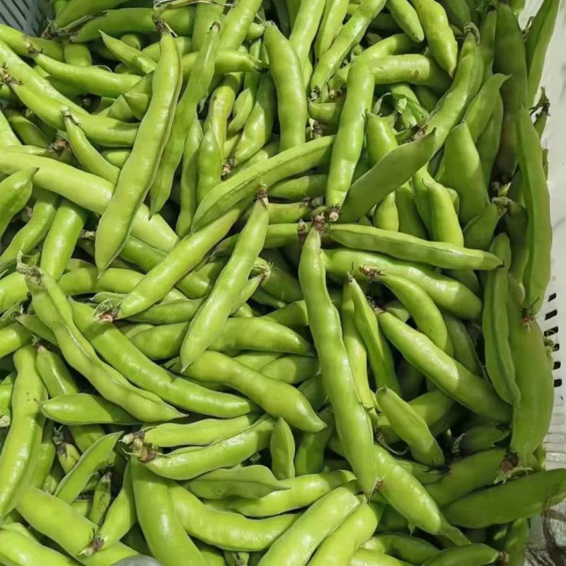 绿皮绿心大豆。日本蚕豆