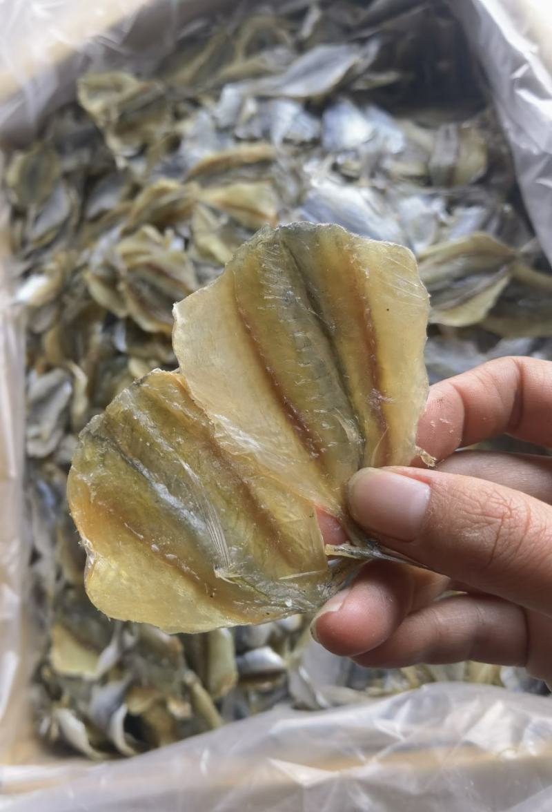 黄线鱼，多味鱼，可烧烤可熟食，产地直销，量大价优